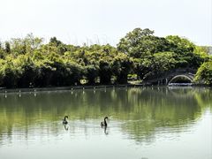 -江心屿景区