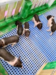 -萌宠亲子动物乐园(槐房万达店)