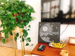 -T·C BEAUTY皮肤管理美容美体工作室