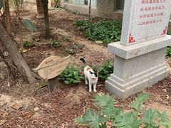 -龙达温泉生态城