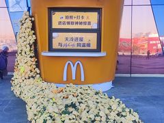 -麦当劳(哈西万达店)
