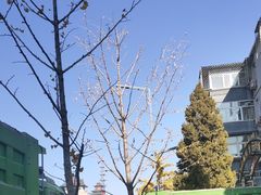 -新世界百货(顺义店)