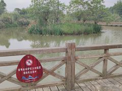 -桤木河湿地公园