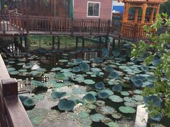 -翔雄农庄