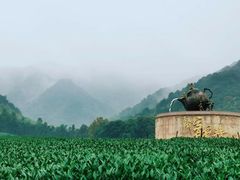 -龙坞茶村