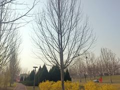 -瀛海足球主题公园