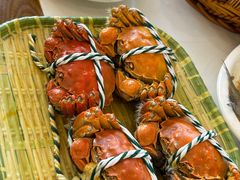 -蟹天蟹地农家菜·阳澄湖大闸蟹(浅水湾店)