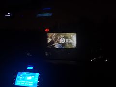 -枫花园汽车电影院(朝阳公园店)