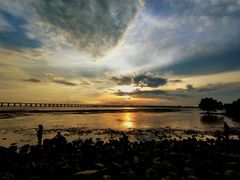 -宝安西湾红树林湿地公园