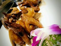 乳鸽-桃源尚品海鲜酒楼(京港澳高速店)