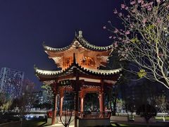 -四海公园(南山区)