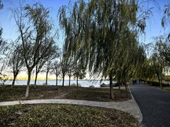 -天津东丽湖风景区