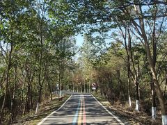 -南京金牛湖风景区