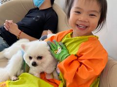 -怪兽屋·羊驼·猫咖·狗咖(俊华广场店)