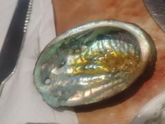 -神洲四海大酒楼(王府井澳门中心店)