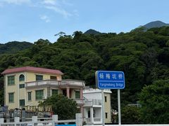 -杨梅坑