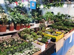 -大学城夜市大排档(凤栖路店)