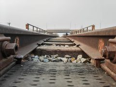 -东郊湿地公园