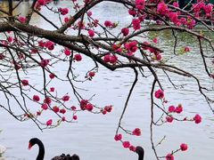 -交通银行(上海莘庄支行)