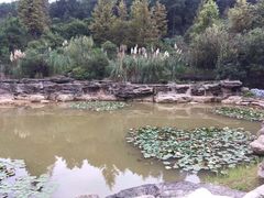 -铁山坪森林公园