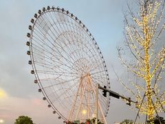 -南昌之星摩天轮