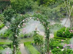 -共青国家森林公园-售票处