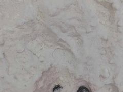 -广州热雪奇迹