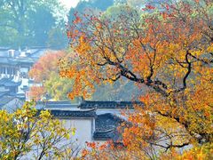 -塔川景区
