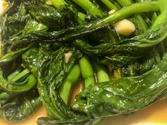 炒菜心-土蚝·高压锅生蚝(百姓美食街店)