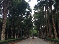 -中山大学学者灵芝(园南路店)