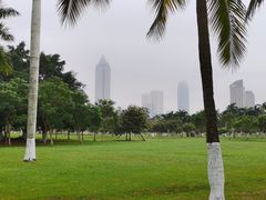 -万绿园