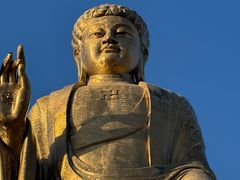 -中原大佛景区