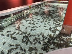 -虾胡闹龙虾馆(湄南河店)