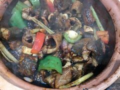 -天宝食坊·啫啫煲大排档(西华路店)