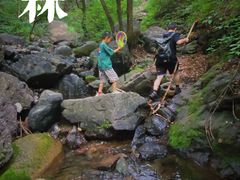 -云岫谷自然风景区