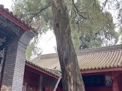 -武侯墓风景区