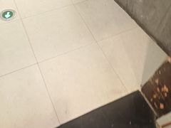 -PARFUM FLORAL花境法餐(南京首店)