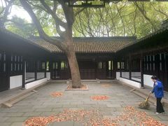-上海醉白池公园