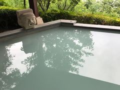 -天目湖涵田半山温泉