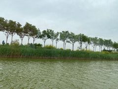 -南大港湿地风景区