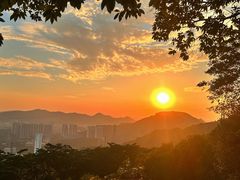 -黄埔油麻山森林公园