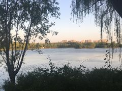 -大兴滨河森林公园