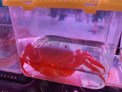 -华声天桥民俗文化园