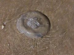 -东戴河风景区-止锚湾