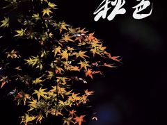 -杭州植物园