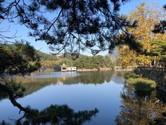 -庐山风景区花径公园