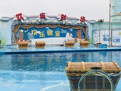-海合安青岛极地海洋公园