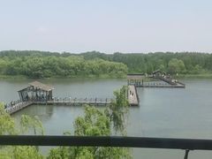 -溱湖国家湿地公园