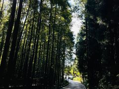 -山王坪喀斯特国家生态公园