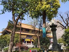 -西安大兴善寺